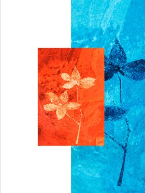 MEGE_PH323_EXPO1-5 copie