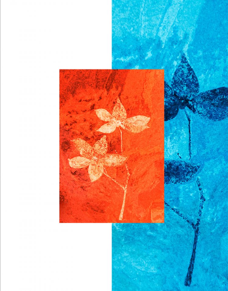 MEGE_PH323_EXPO1-5 copie